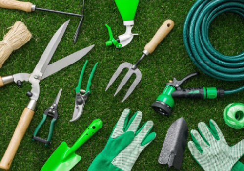 Techno Star Pest Control Services
