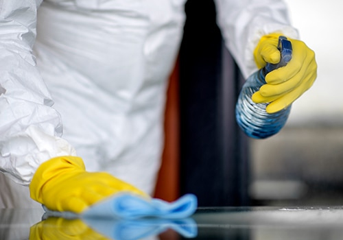 Techno Star Pest Control Services