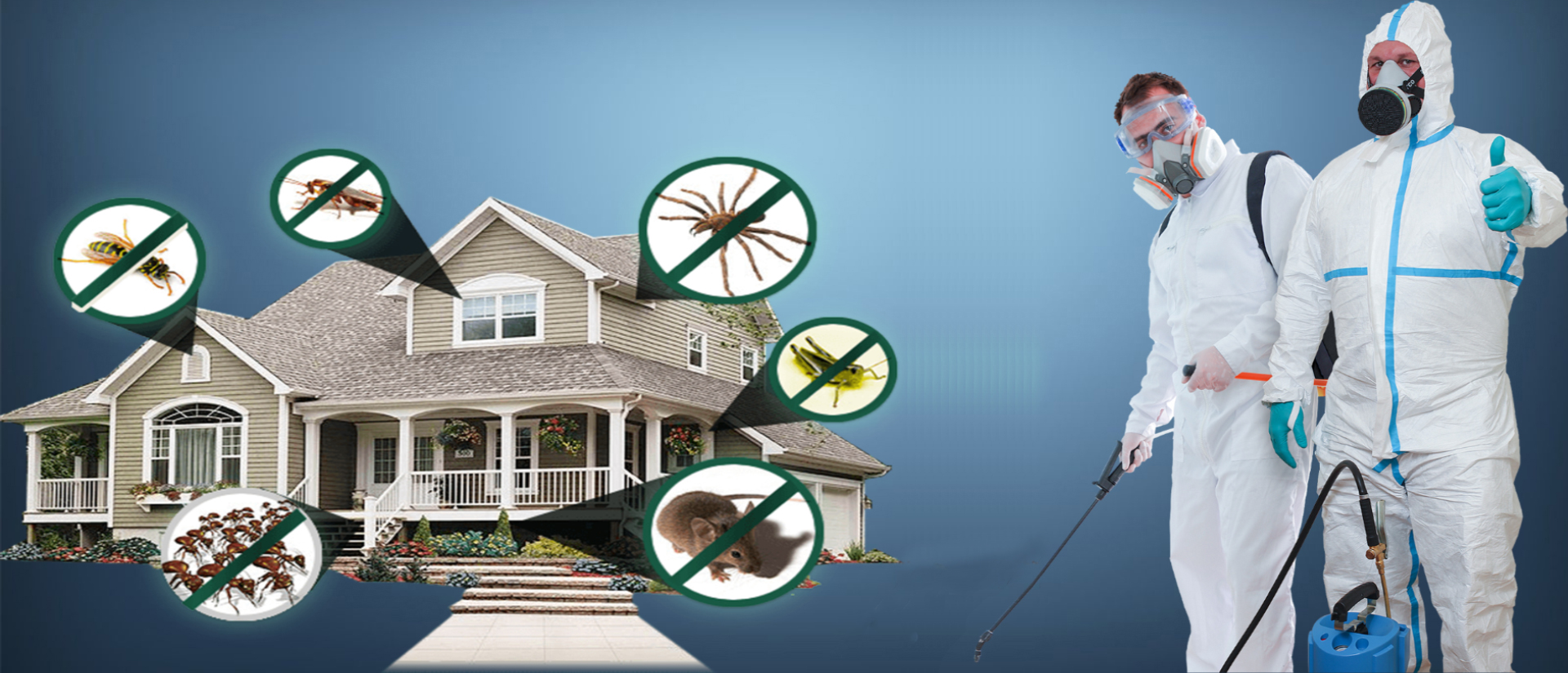 Techno Star Pest Control Services